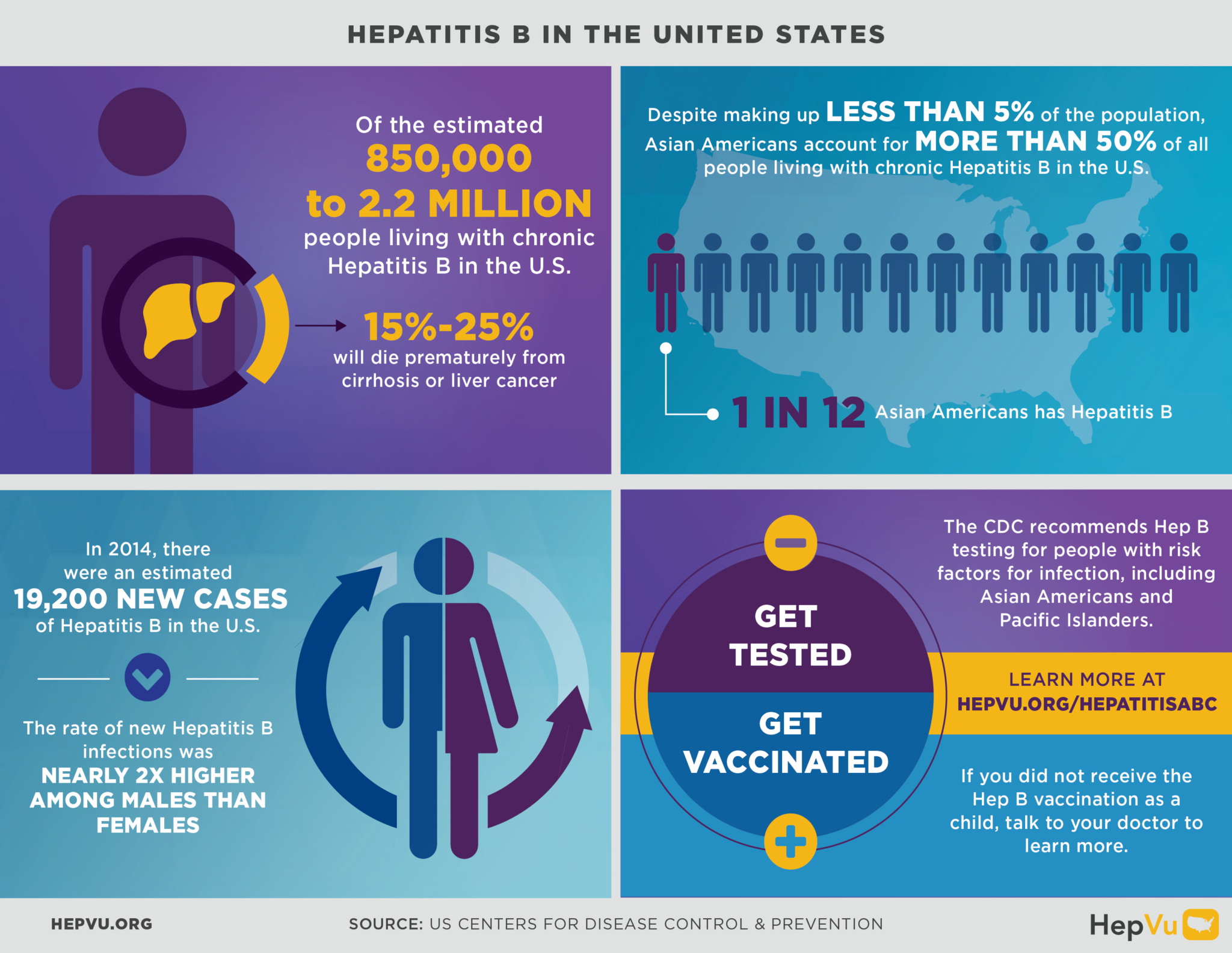Hepatitis B Infographics Hepvu
